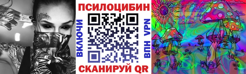 Псилоцибиновые грибы MAGIC MUSHROOMS MEGA зеркало Курлово